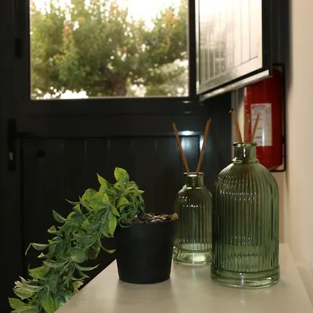 Casa D'avo Herminia * Seia